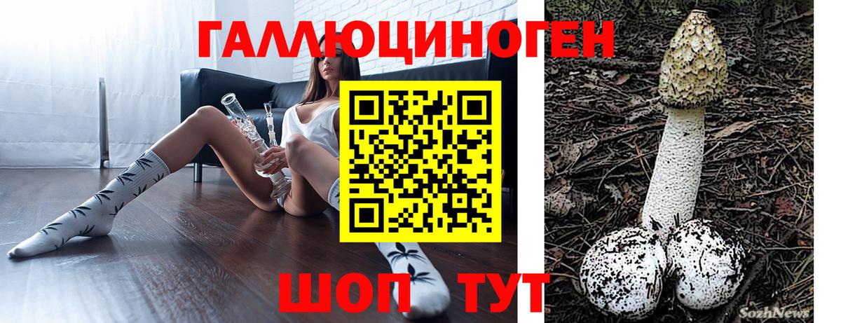 Псилоцибиновые грибы мухоморы Партизанск