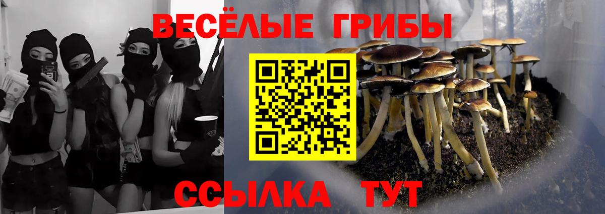 Партизанск  Галлюциногенные грибы Psilocybine cubensis  Вход с VPN 